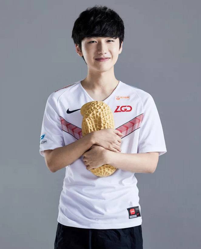 近年来鲜有 近年来鲜有