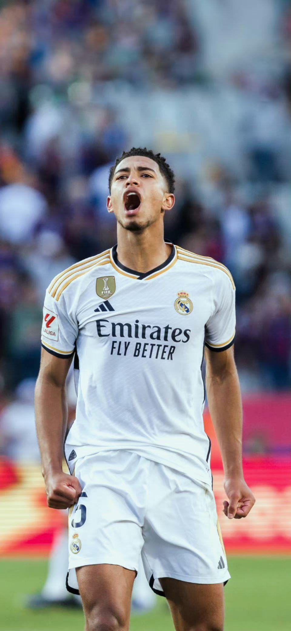 票务策略 票务策略